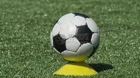 Pinbo拼搏体育平台 产品 111207 e97