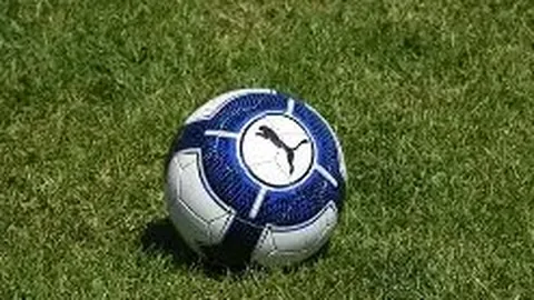 Pinbo拼搏体育平台 资讯 131841 r0i