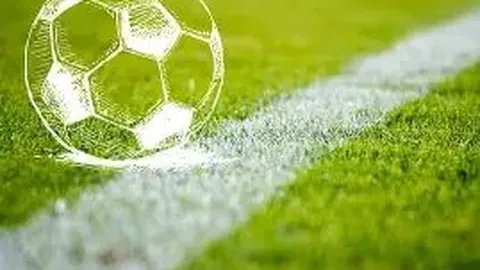 Pinbo拼搏体育平台