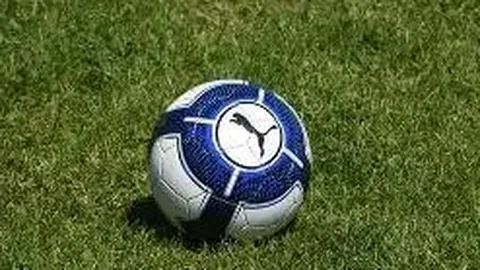 Pinbo拼搏体育平台 资讯 104342 mvo