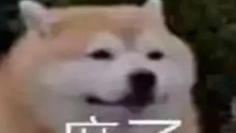 韩国棋院就LG杯争议事件正式致歉，拟与中日棋院携手制定统一竞赛规则（2025-01-29）