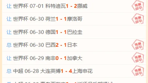 2026最新芹且鲶鱼胡志明市飞翼：深度评测分析